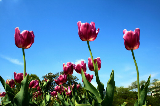 642240 (a): :2400x1600